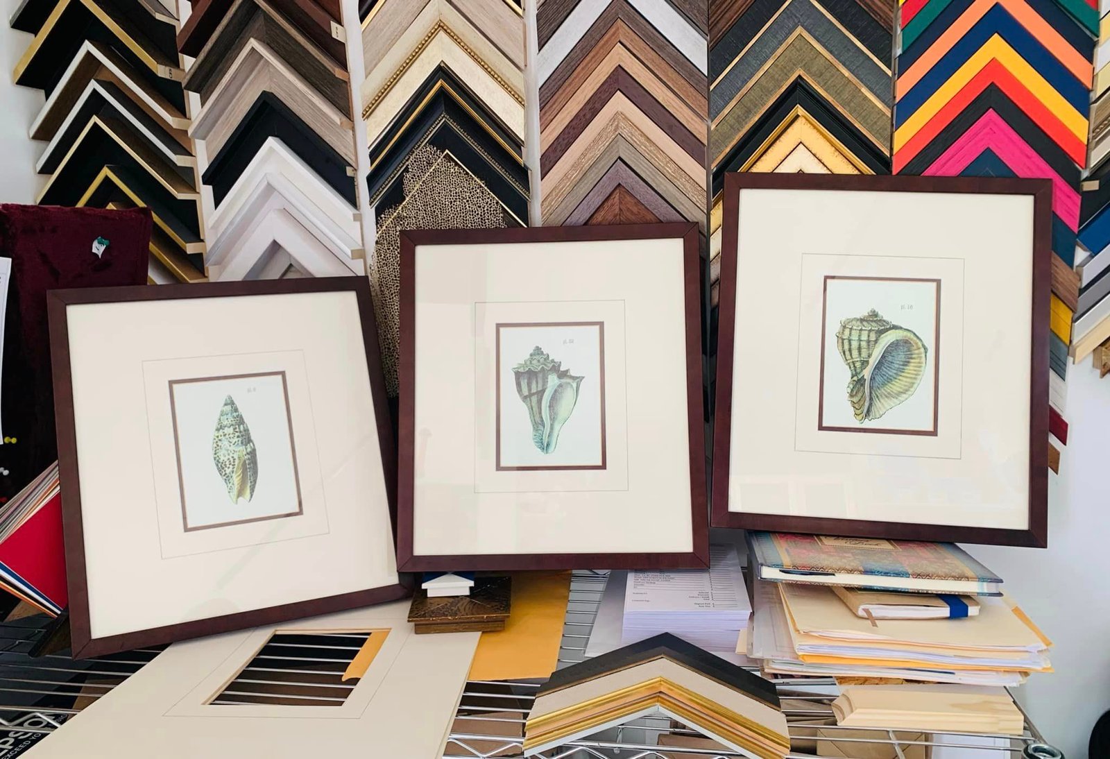 framing and art (56)