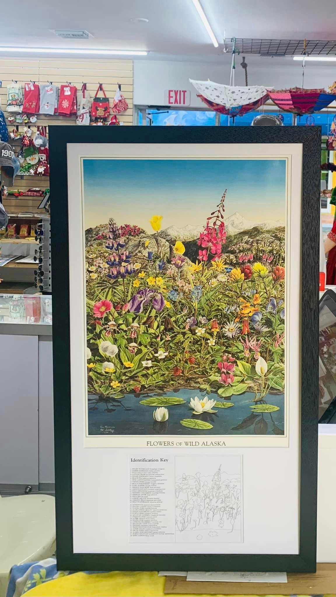 framing and art (57)