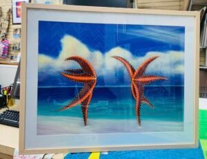 framingartprovo