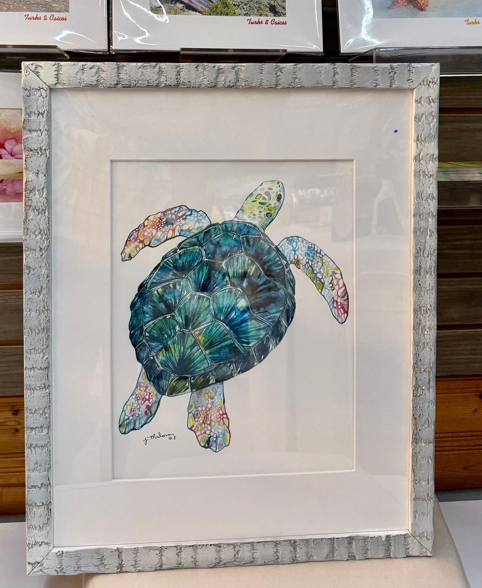 589379030_1209090137815058_7711699985942018409_n