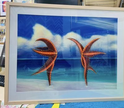 Starfish Painting Framed